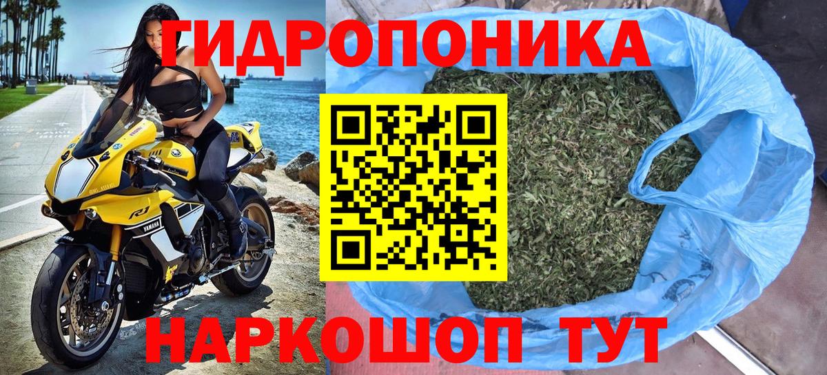 Конопля OG Kush  Шишки марихуана тримм  Каннабис VHQ  Владивосток  Вход с VPN  Каннабис MAZAR 